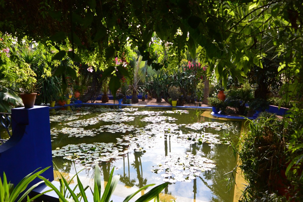  Majorelle Gardens 