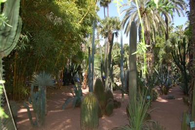 Le Jardin Majorelle, Marrakech