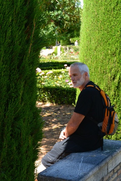 The gardens of the Alcazar