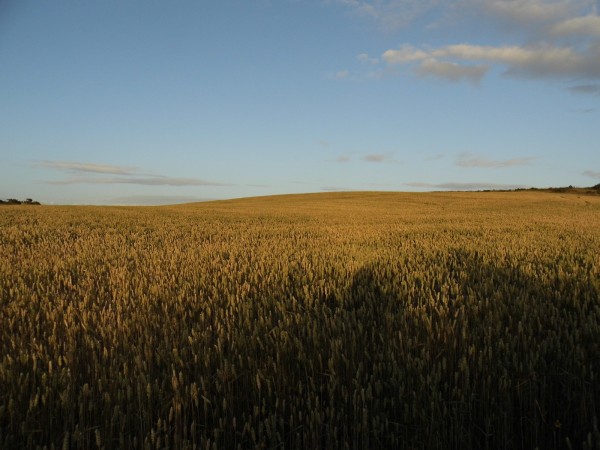 Abereiddy