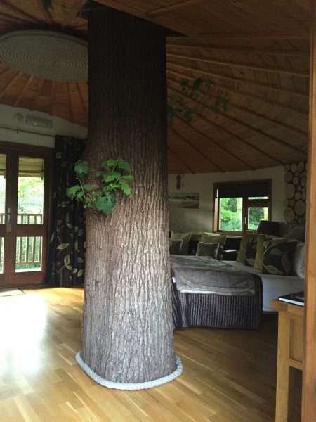 The Tree House