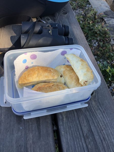 Home made pasties